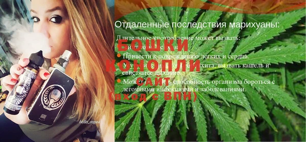 шишки Сосновый Бор