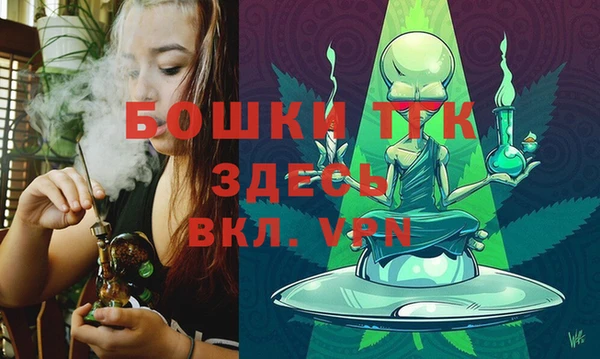 стаф Балахна