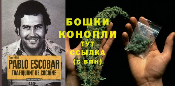 стаф Балахна