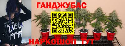 соль ск Гусев