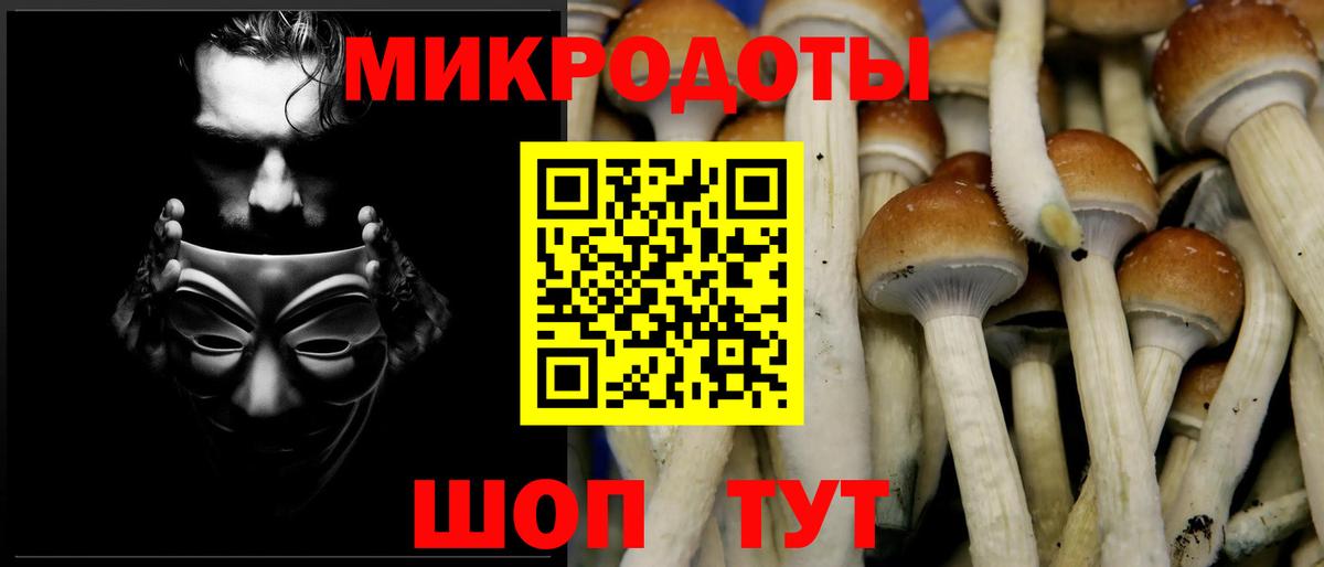 Псилоцибиновые грибы Magic Shrooms Нерюнгри