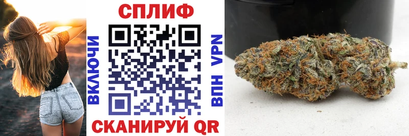 Марихуана план  купить  цена  Нерюнгри 